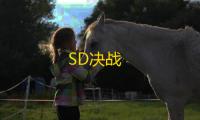 SD决战